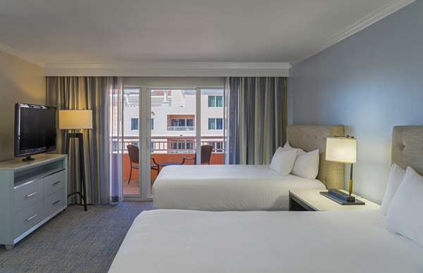 Suite - Hyatt Regency Clearwater Beach Resort & Spa