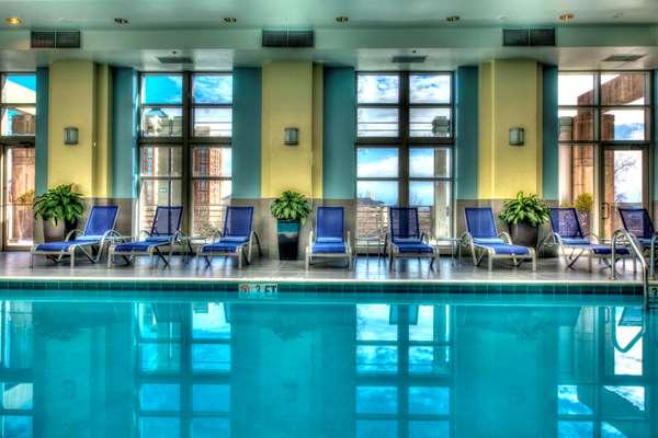 Pool - Hyatt Regency Hotel Reston