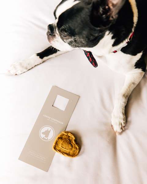  - Grand Hyatt Hotel Seattle - I-5, Exits 164A & 165B