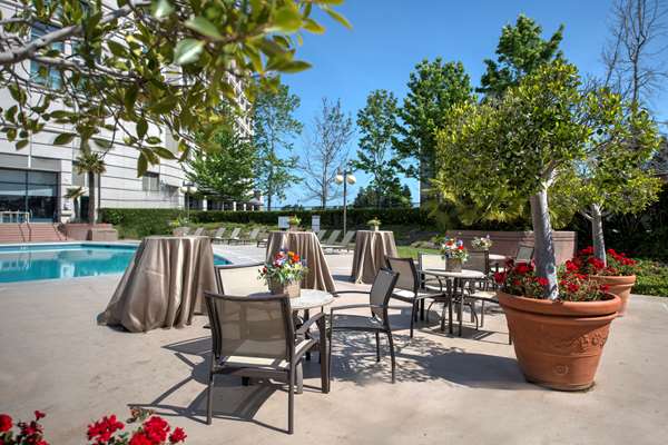 Pool - Hyatt Regency Airport Hotel Burlingame