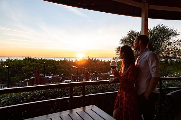 Restaurant - Grand Hyatt Hotel Tampa