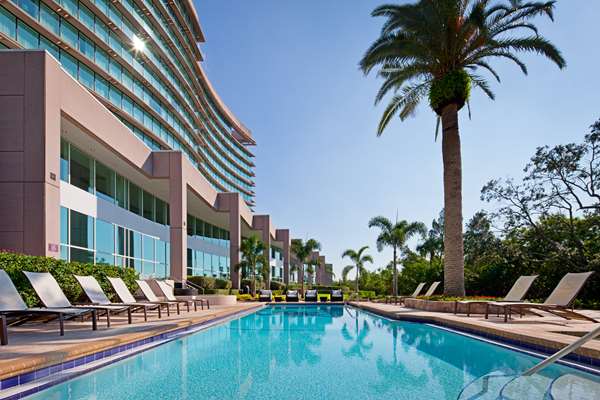 Pool - Grand Hyatt Hotel Tampa