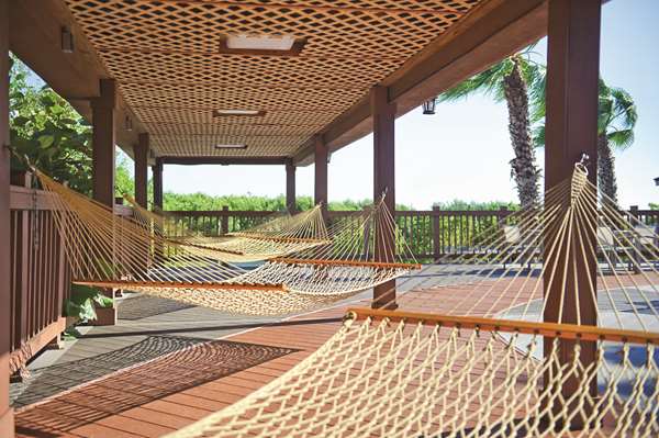 Pool - Grand Hyatt Hotel Tampa