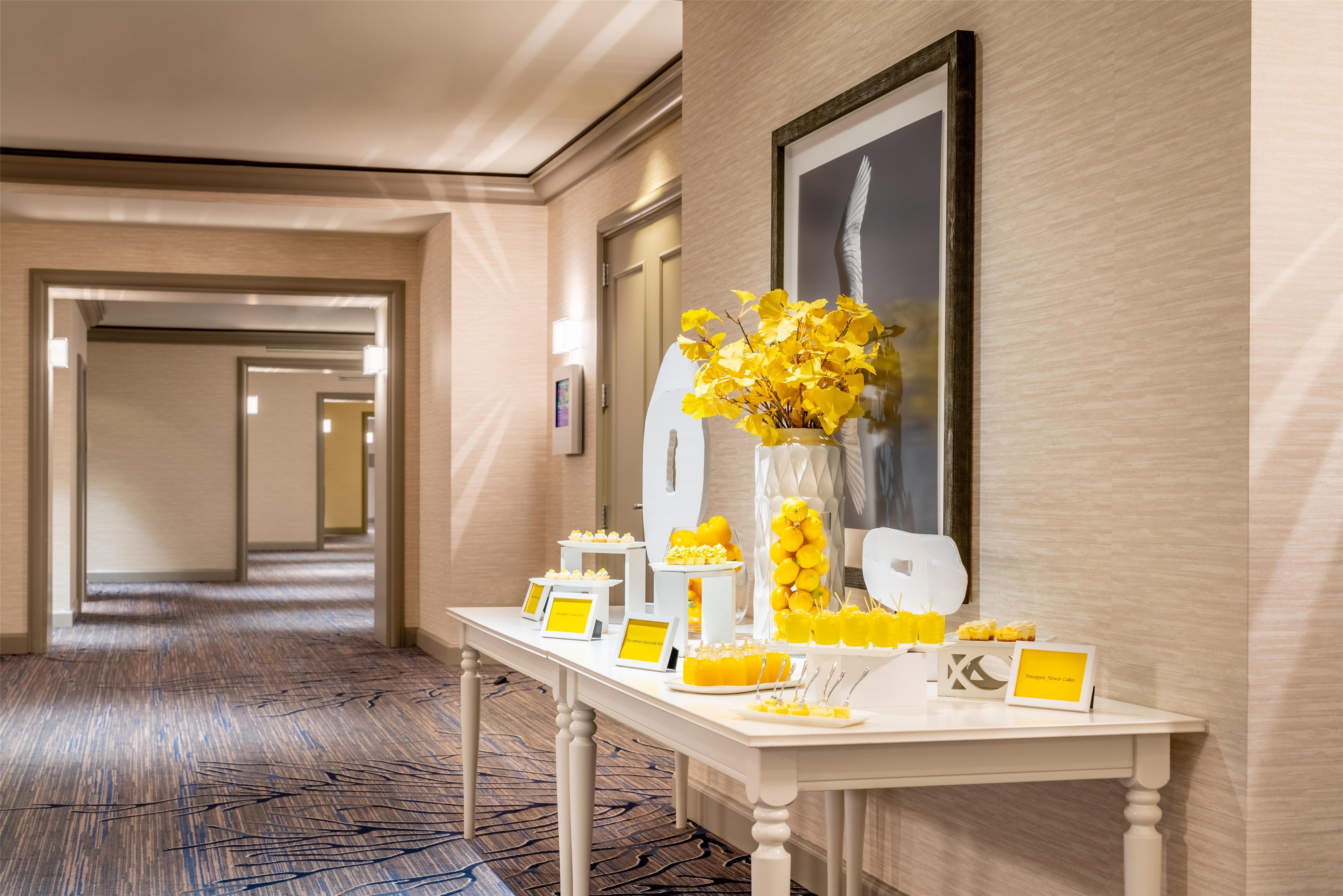 Meeting Room | Grand Hyatt Tampa Bay