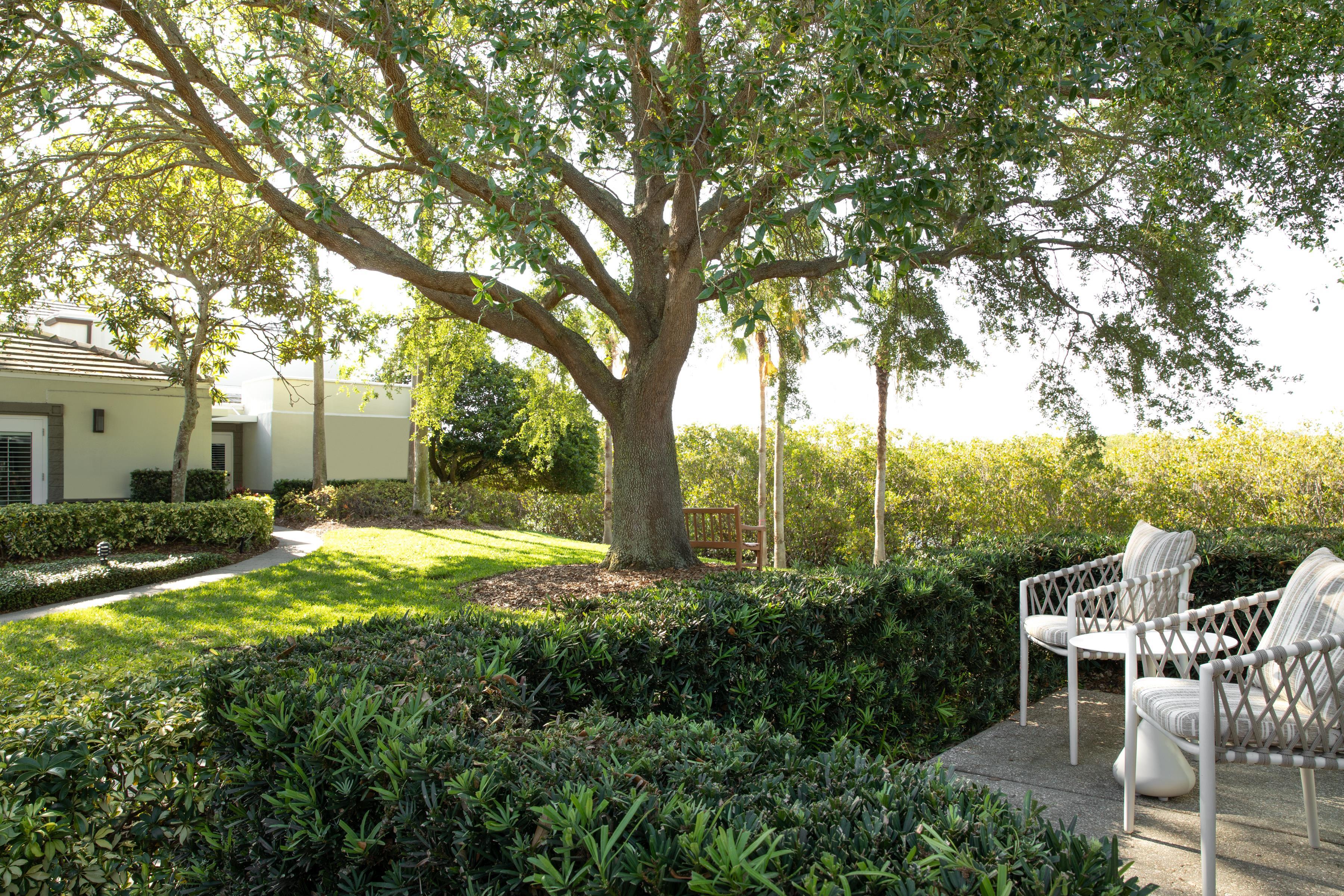 Patio Terrace