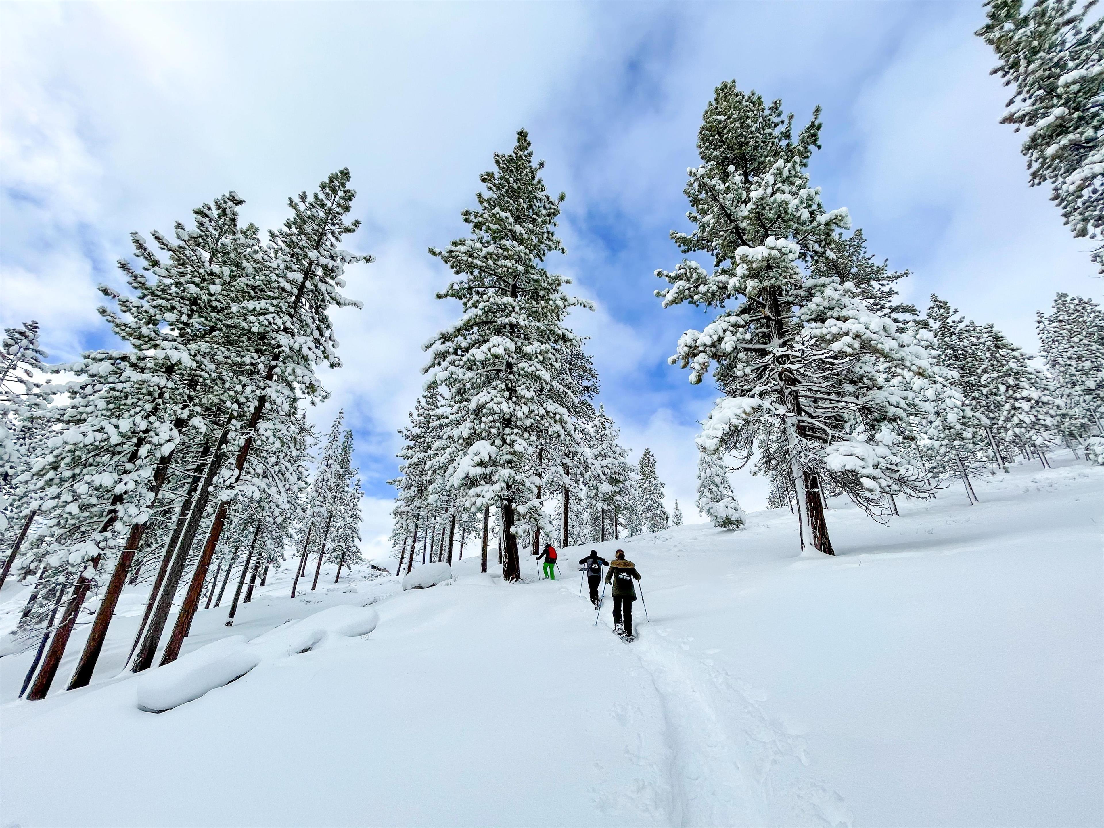 Destination | Hyatt Regency Lake Tahoe Resort, Spa and Casino