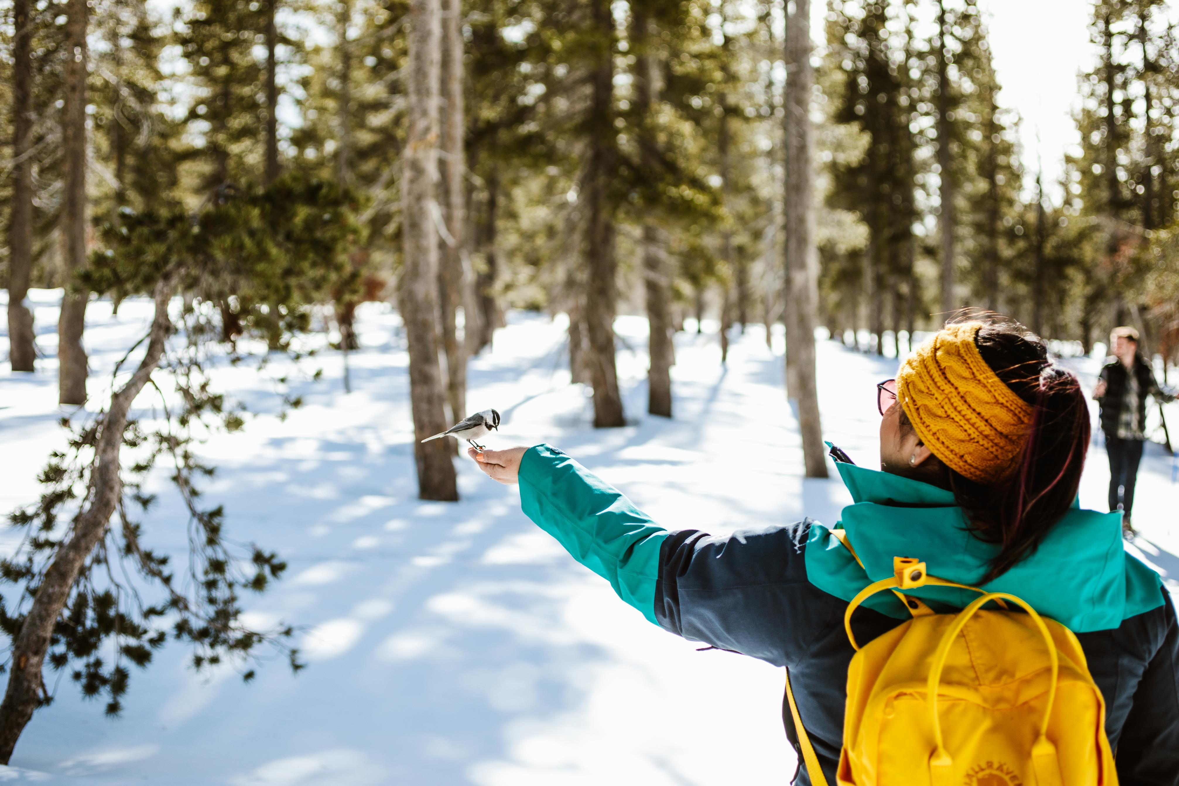Destination | Hyatt Regency Lake Tahoe Resort, Spa and Casino
