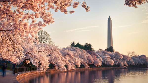  - Grand Hyatt Hotel DC