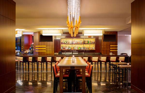 Pool - Hyatt Regency Hotel Crystal City Arlington