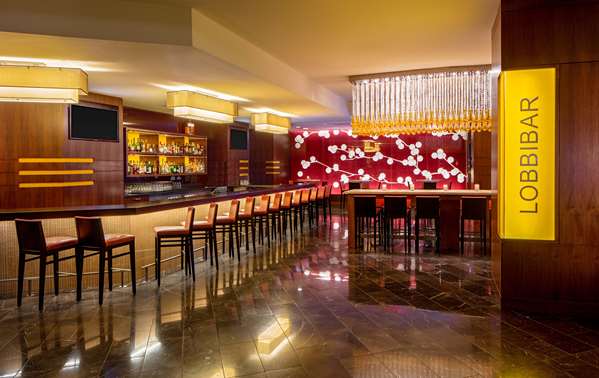 Pool - Hyatt Regency Hotel Crystal City Arlington