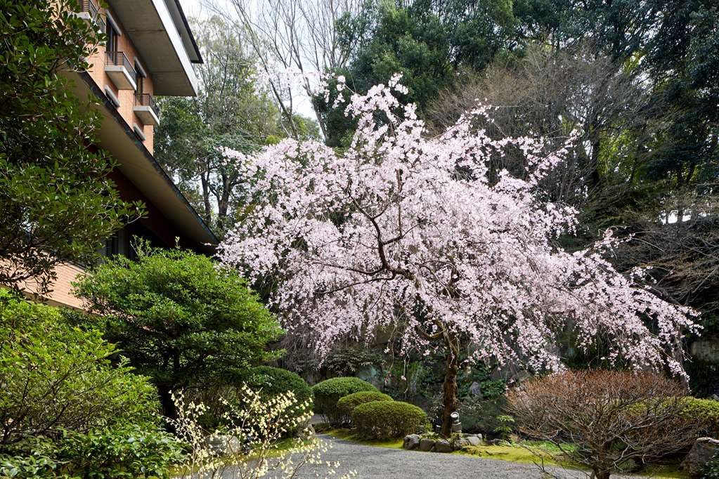 Hyatt Regency Kyoto - Tap to explore photos