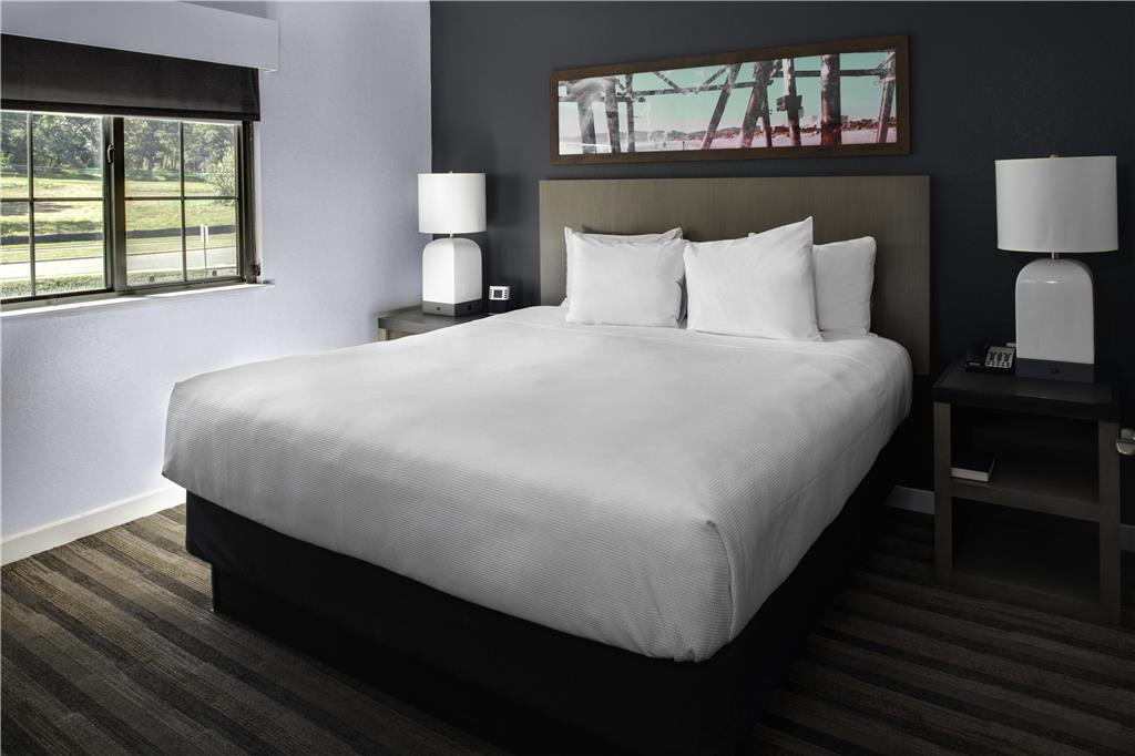 HYATT HOUSE MORRISTOWN-guestroom-Guest Room,Suite,On-Site.jpg