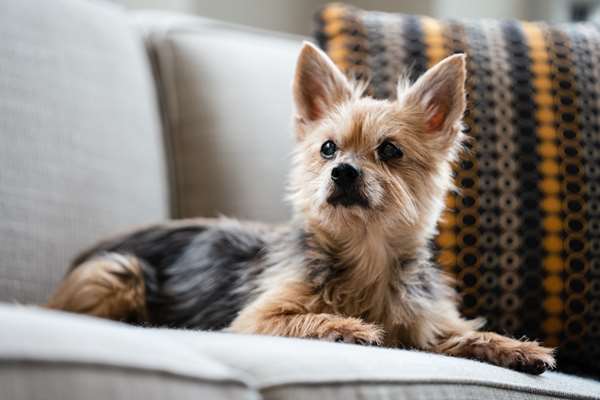  - Hyatt House Hotel North Hill Raleigh