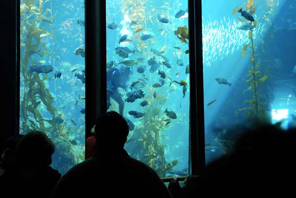  - Hyatt House Hotel San Diego - I-805, Exits 27 & 27A