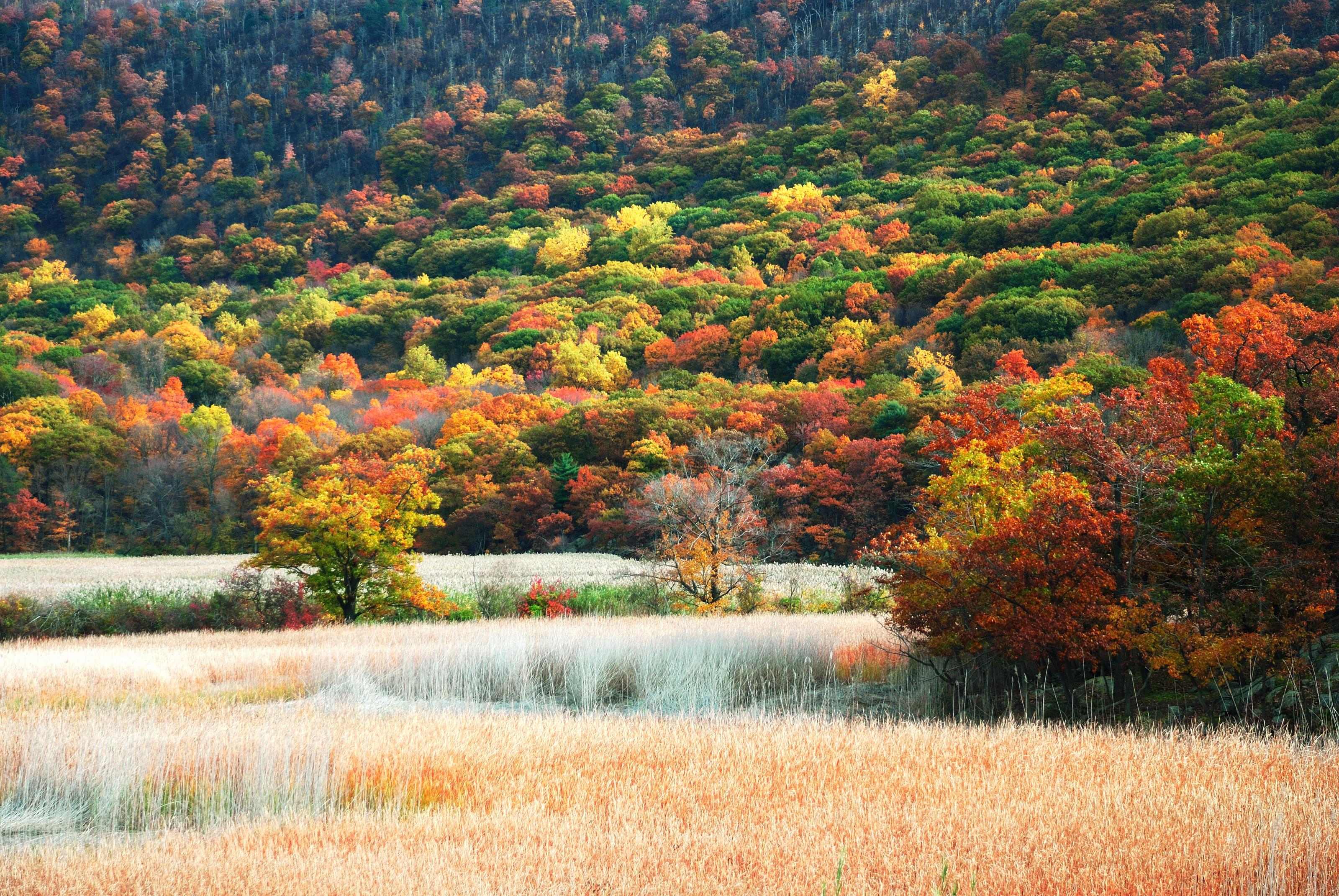Destination | HYATT house Fishkill/Poughkeepsie