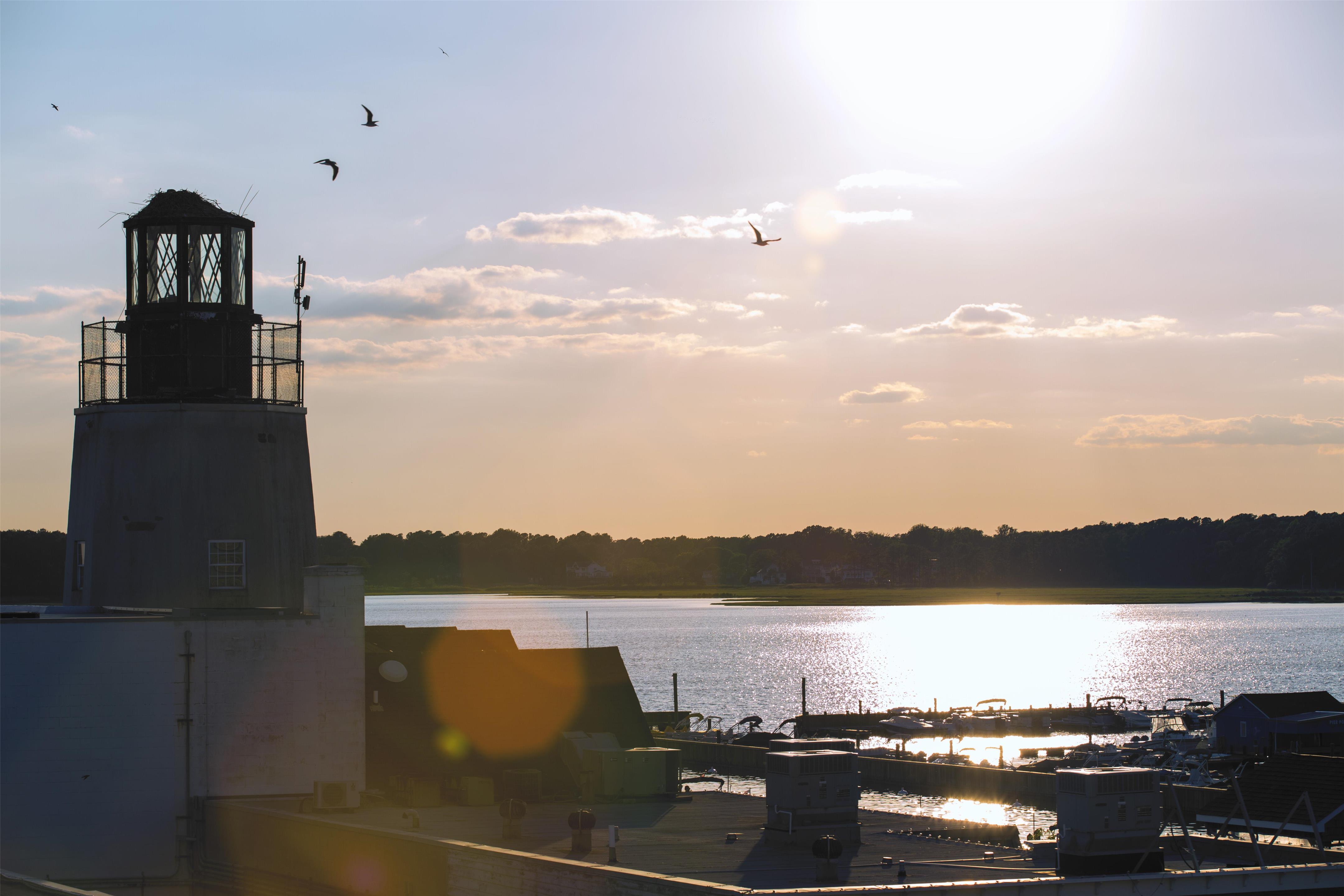 Destination | Hyatt Place Dewey Beach