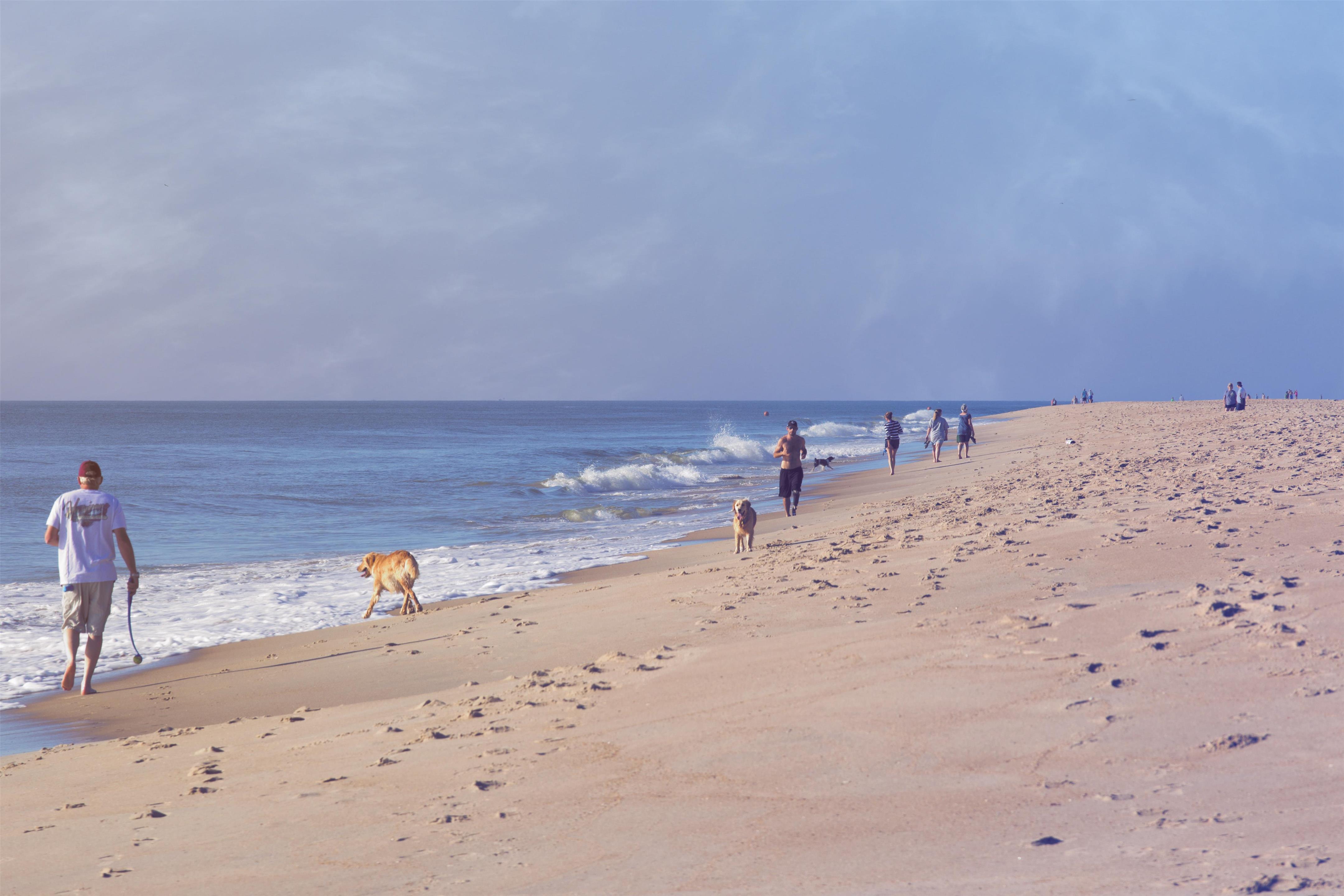 Beach | Hyatt Place Dewey Beach