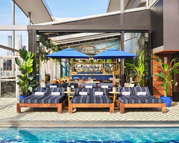 Pool - Hotel Gansevoort New York