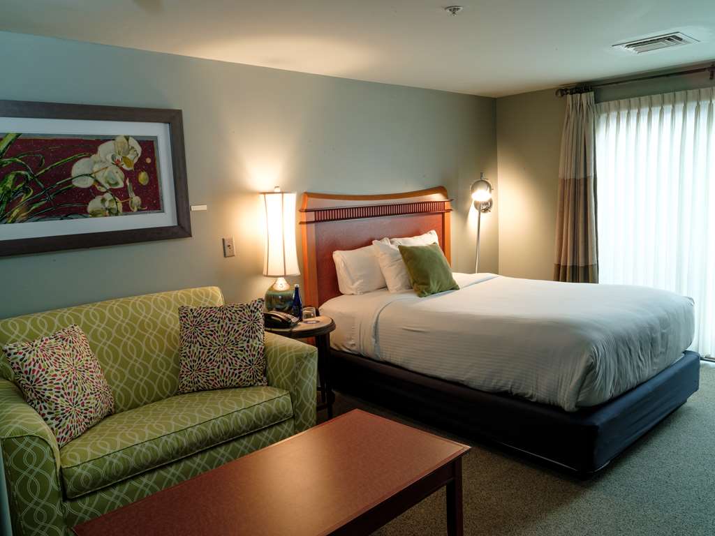 LANCASTER ARTS HOTEL-guestroom-Guest Room,On-Site.jpg