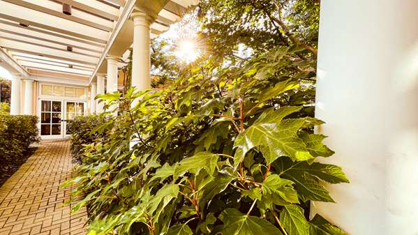  - O. Henry Hotel Greensboro - I-40, Exit 214