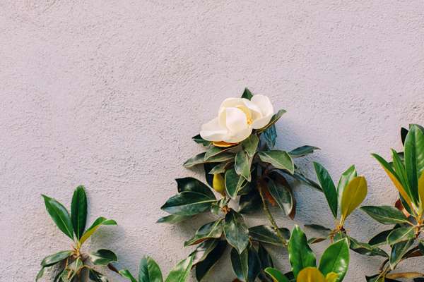  - Zero George Street Hotel Charleston