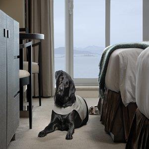  - Sidney Pier Hotel & Spa