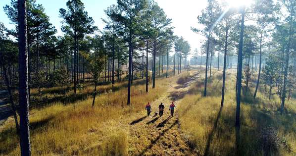 Exterior view - Barnsley Gardens Resort Adairsville