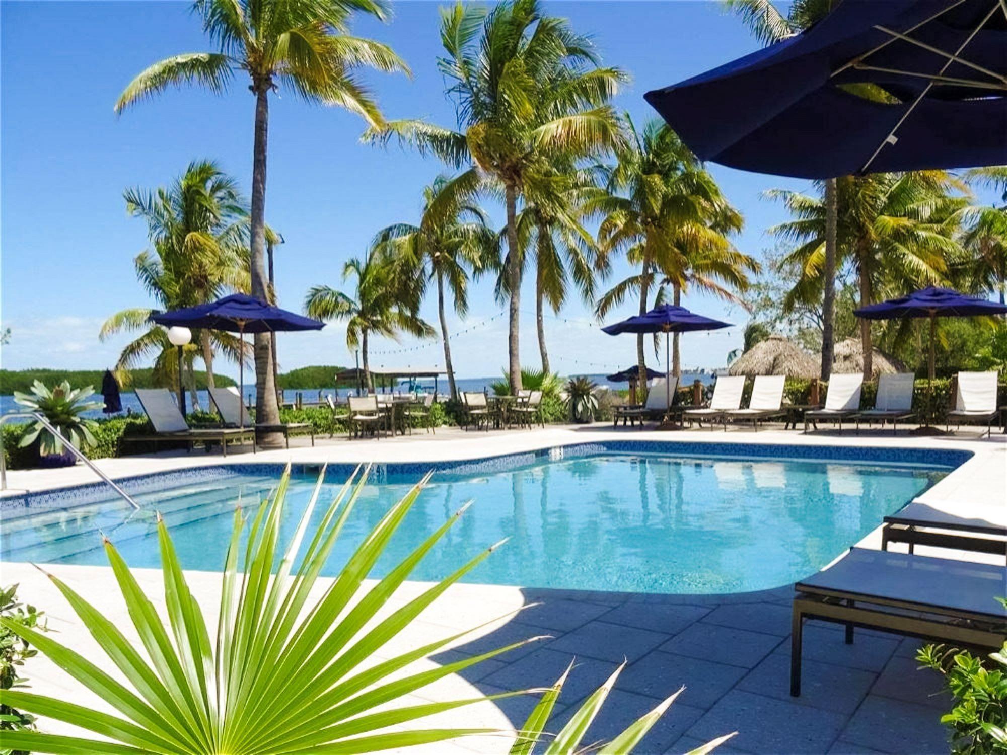 Pool Outdoor | Coconut Palm Inn