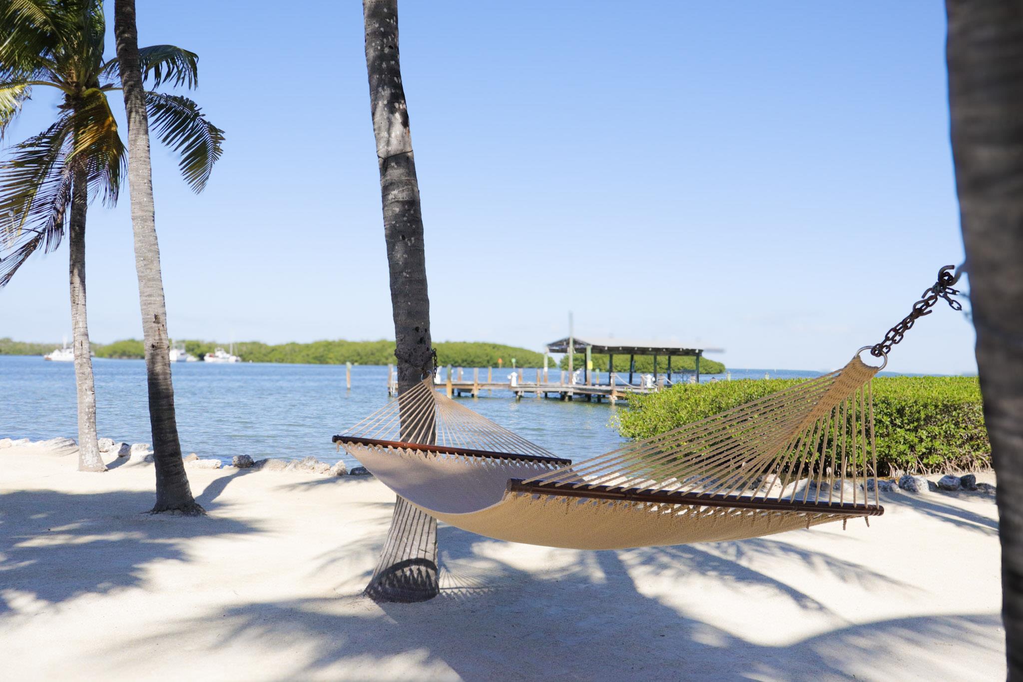 Exterior | Coconut Palm Inn