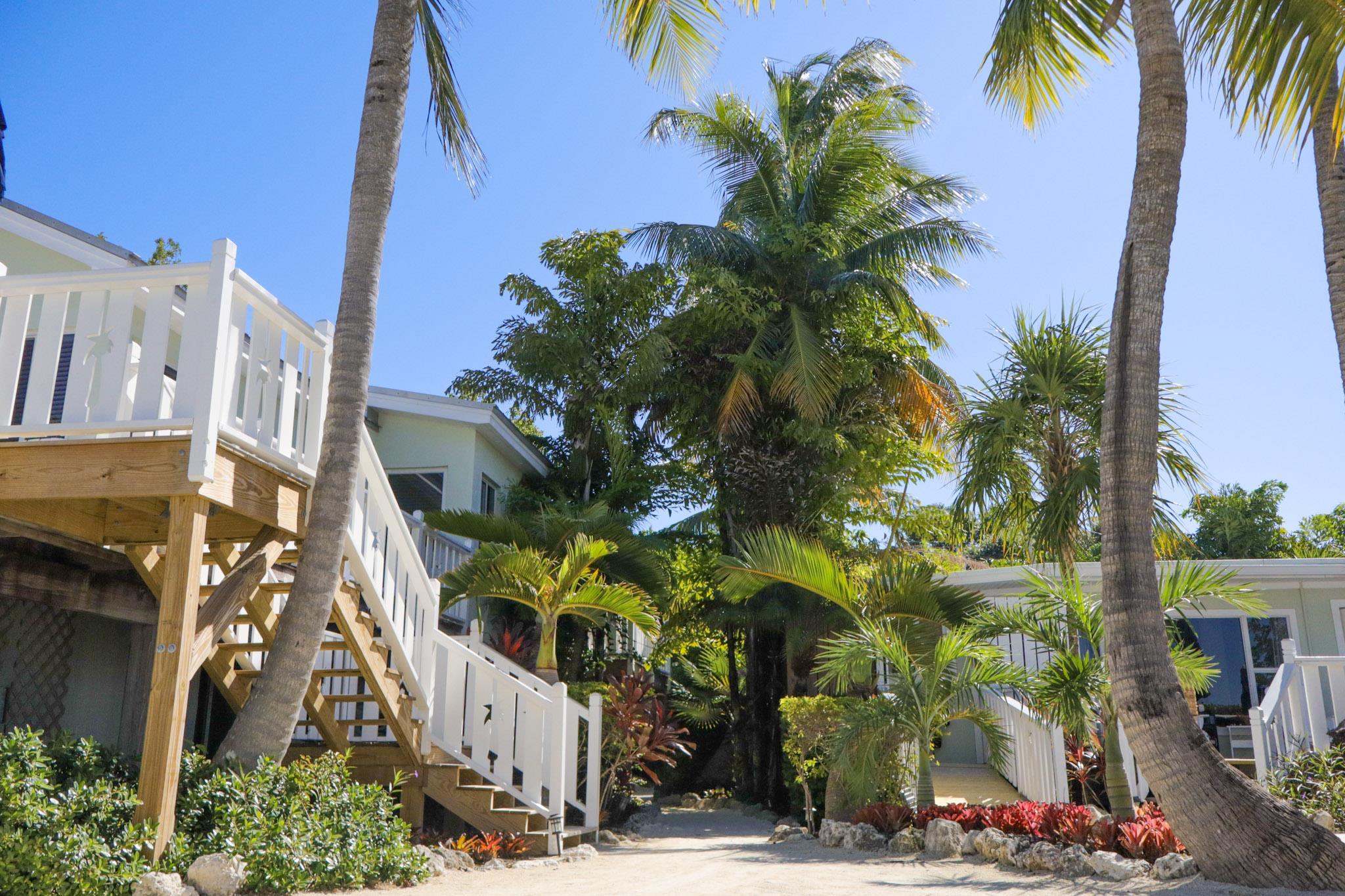 Exterior | Coconut Palm Inn