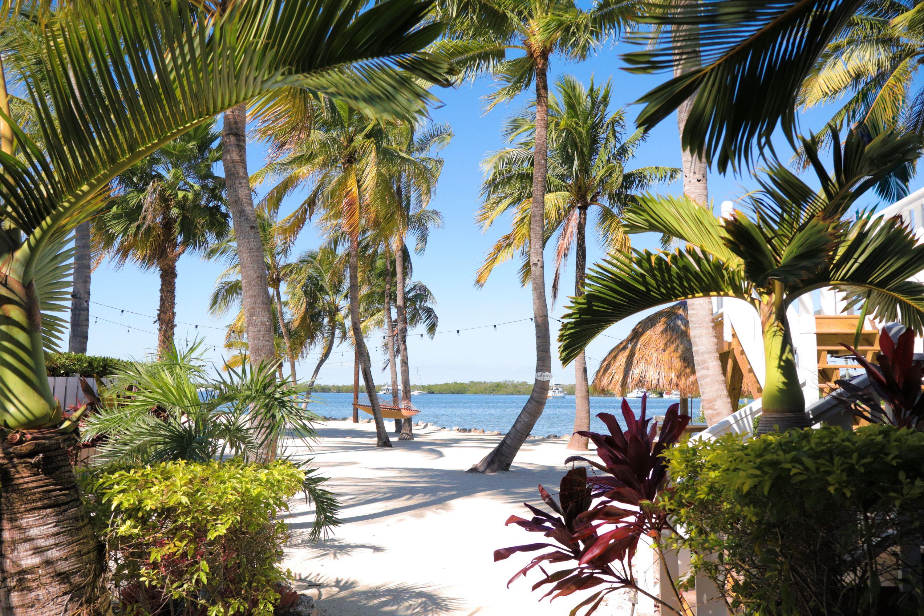 Exterior | Coconut Palm Inn