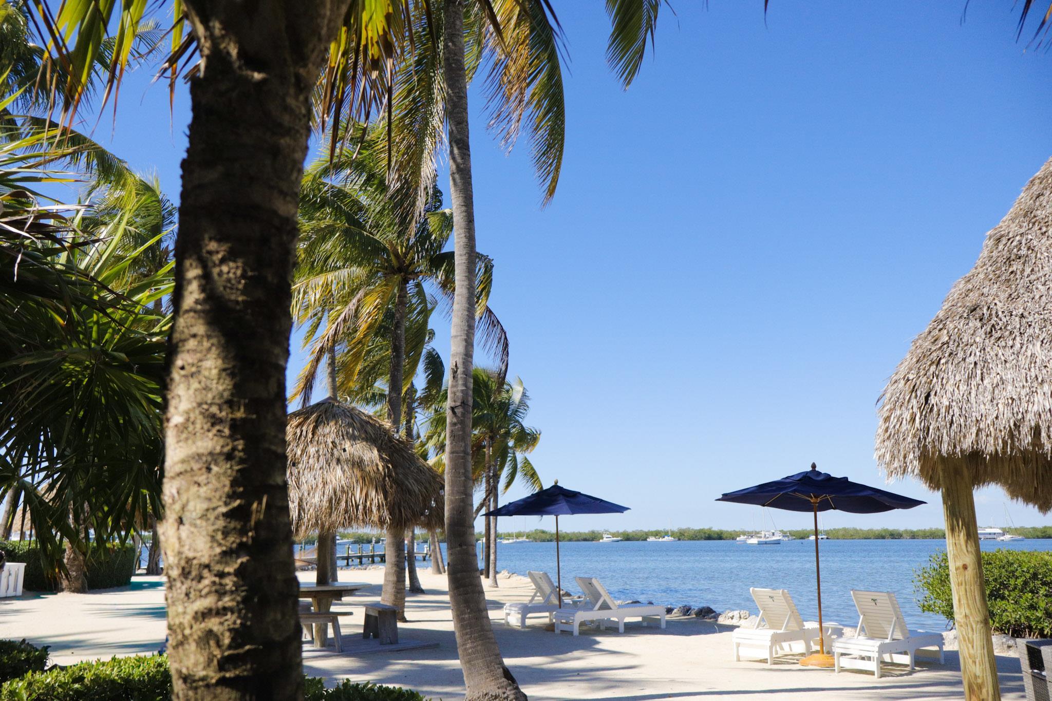 Exterior | Coconut Palm Inn