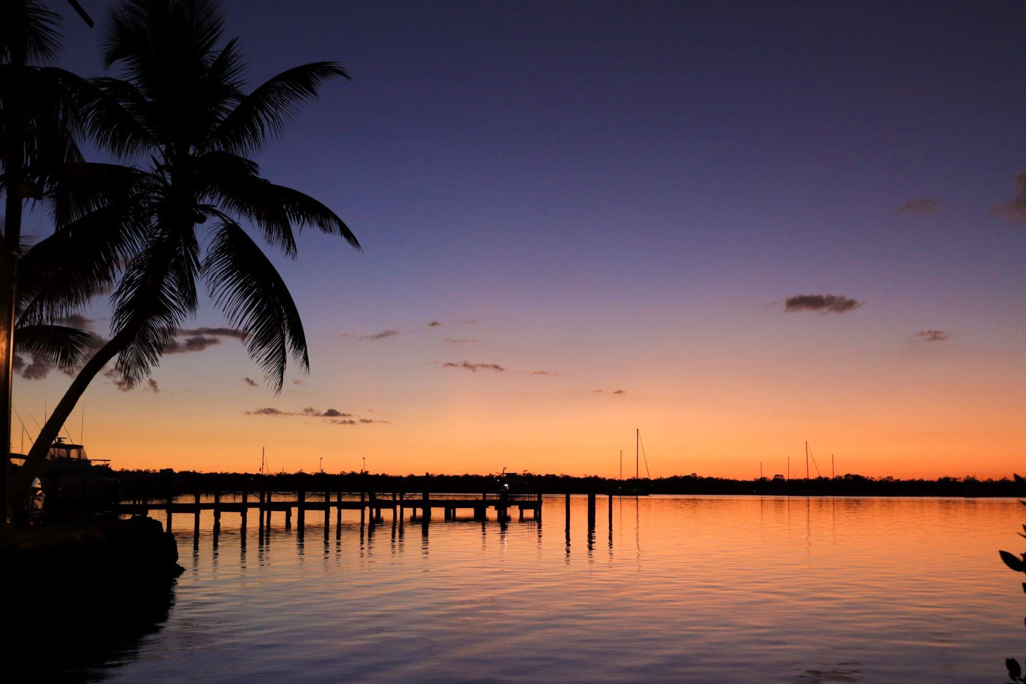 Miscellaneous | Coconut Palm Inn