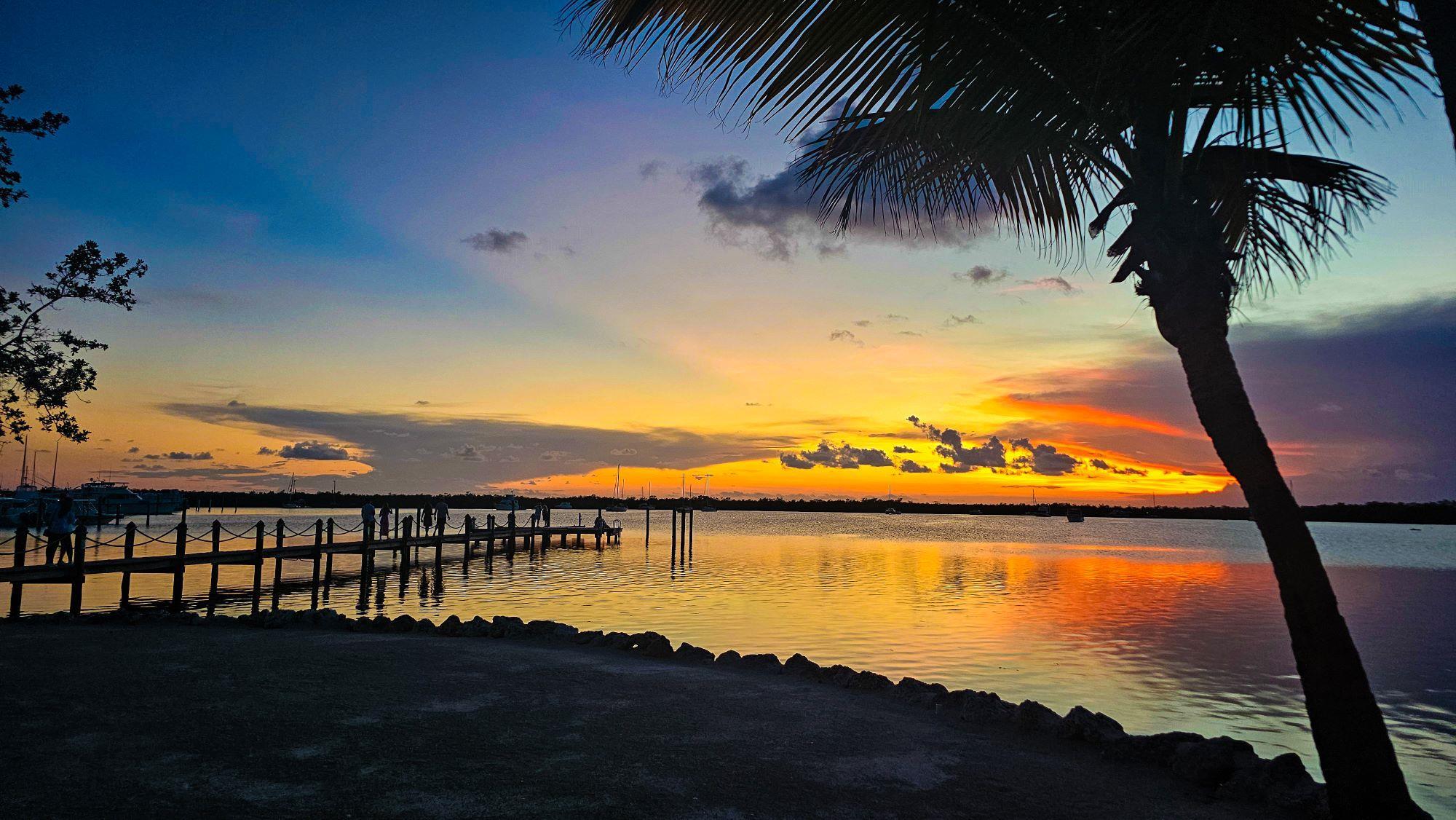 Miscellaneous | Coconut Palm Inn