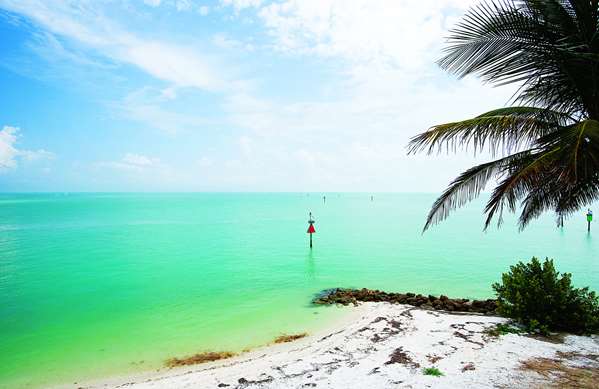 Beach - South Seas Island Resort Captiva Island