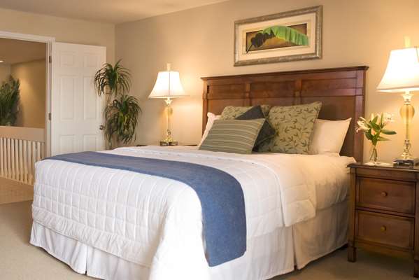 Suite - South Seas Island Resort Captiva Island