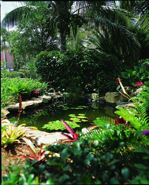  - Sanibel Inn Sanibel Island