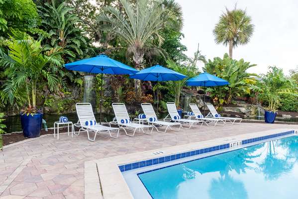 Pool - Park Shore Resort Naples