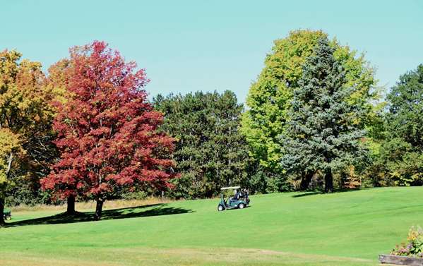 Golf - Evergreen Resort Cadillac
