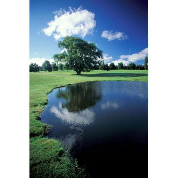 Recreation - Evergreen Resort Cadillac