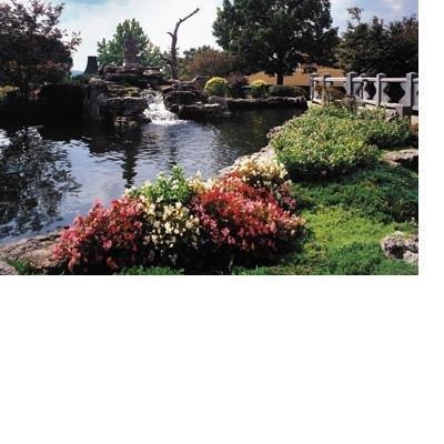 Recreation - Lodge of Four Seasons