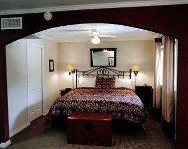 VINEYARD COURT DESIGNER SUITES-guestroom-Guest Room,Indoor/Interior.jpg