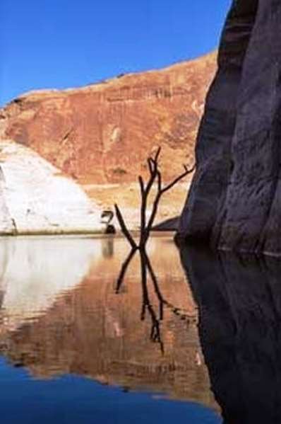  - Defiance House Lodge Bullfrog