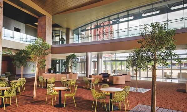 Restaurant - Talking Stick Resort Scottsdale