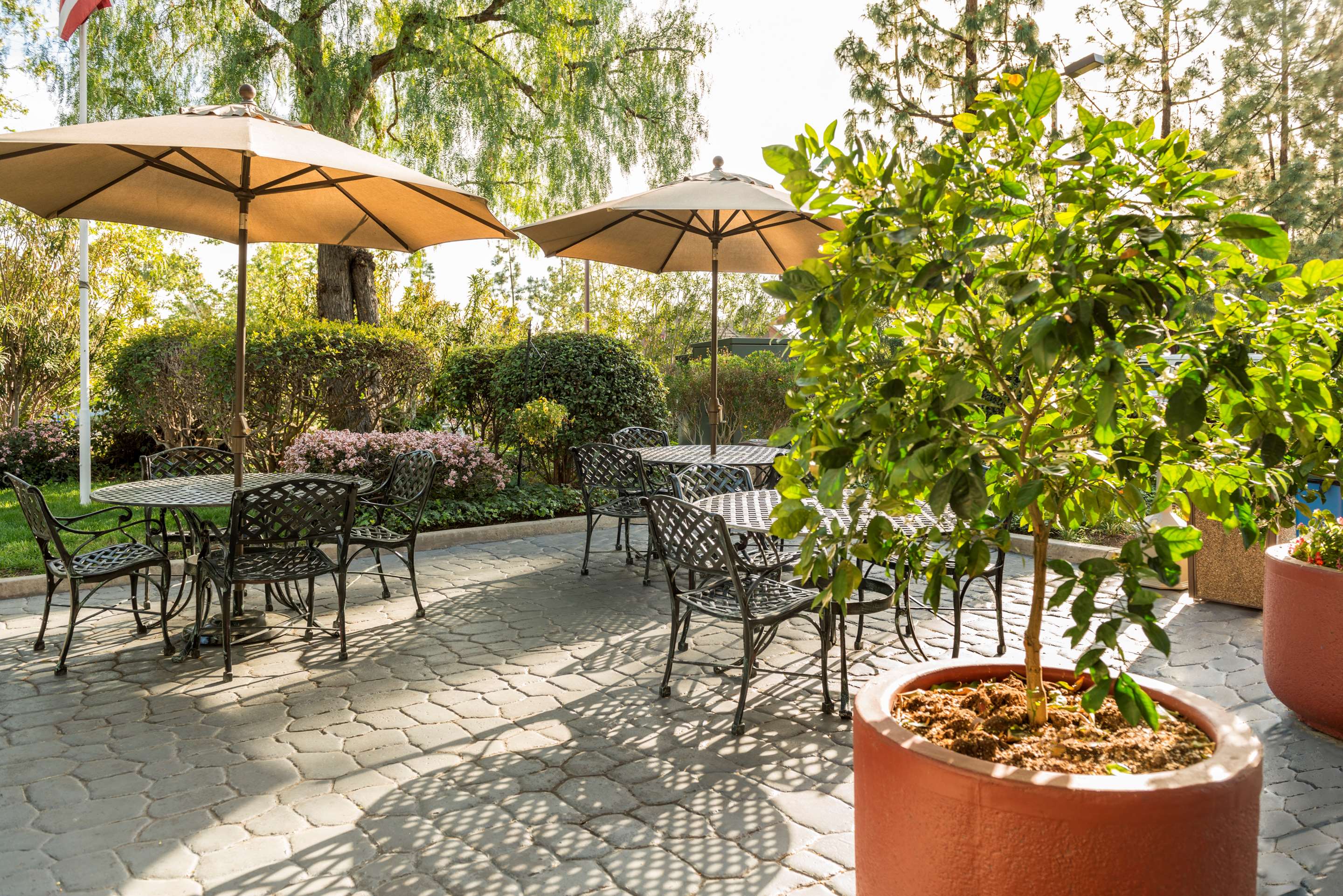 Courtyard