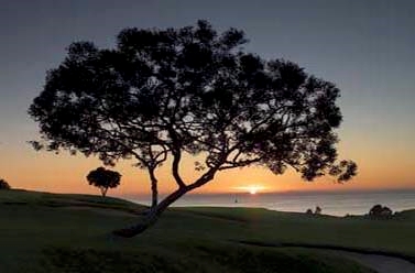 Exterior view - Resort at Pelican Hill Newport Coast