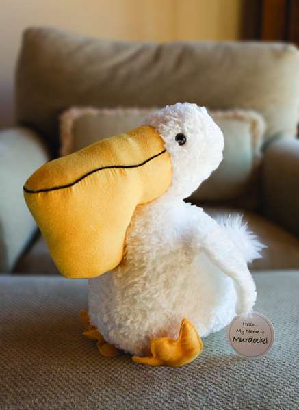  - Resort at Pelican Hill Newport Coast