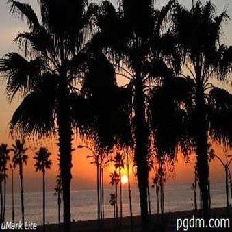 Exterior view - Balboa Inn Newport Beach