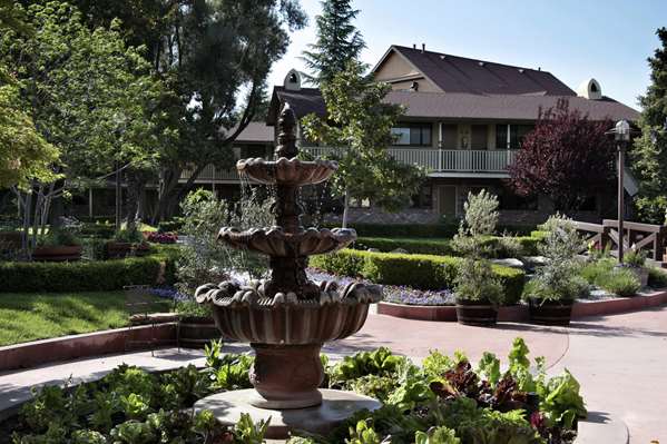 Exterior view - Paso Robles Inn Paso Robles