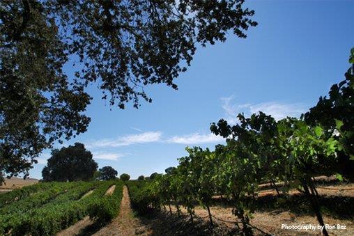 Exterior view - Paso Robles Inn Paso Robles